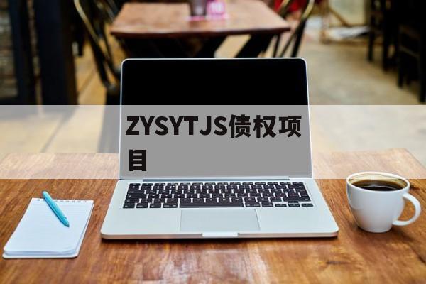 ZYSYTJS债权项目