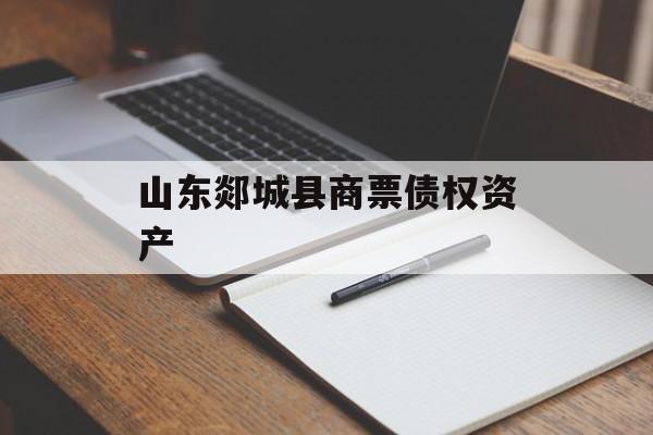山东郯城县商票债权资产