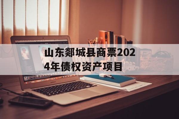 山东郯城县商票2024年债权资产项目