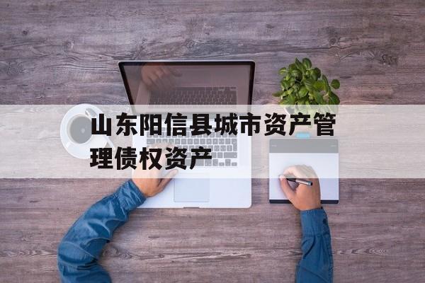 山东阳信县城市资产管理债权资产