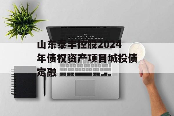 山东泰丰控股2024年债权资产项目城投债定融