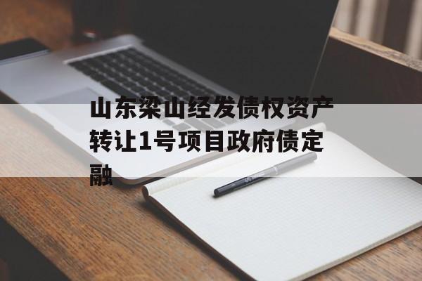 山东梁山经发债权资产转让1号项目政府债定融