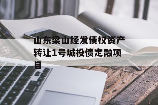山东梁山经发债权资产转让1号城投债定融项目