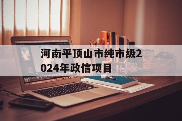 河南平顶山市纯市级2024年政信项目