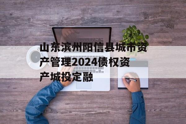 山东滨州阳信县城市资产管理2024债权资产城投定融
