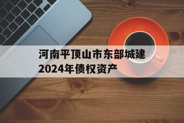 河南平顶山市东部城建2024年债权资产
