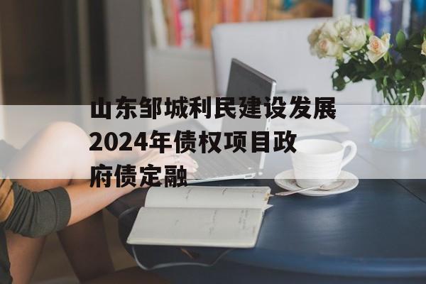 山东邹城利民建设发展2024年债权项目政府债定融