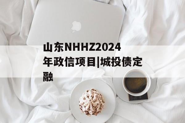 山东NHHZ2024年政信项目|城投债定融