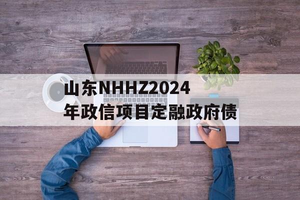 山东NHHZ2024年政信项目定融政府债