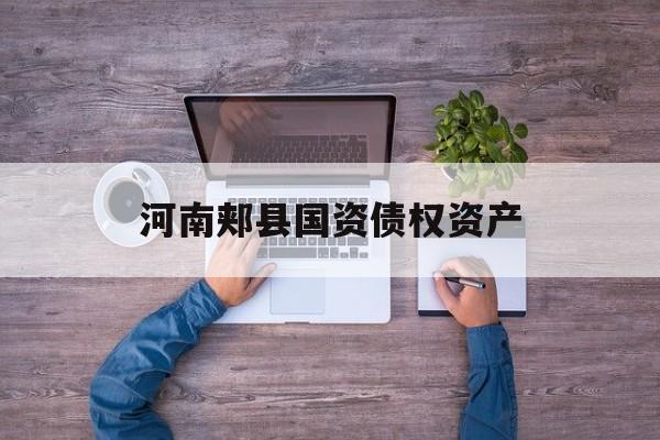 河南郏县国资债权资产