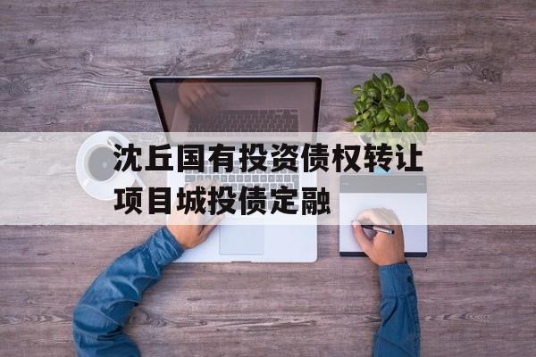 沈丘国有投资债权转让项目城投债定融