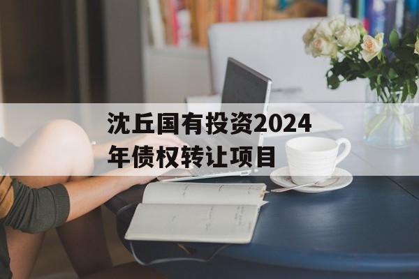 沈丘国有投资2024年债权转让项目