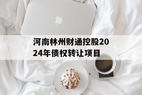 河南林州财通控股2024年债权转让项目