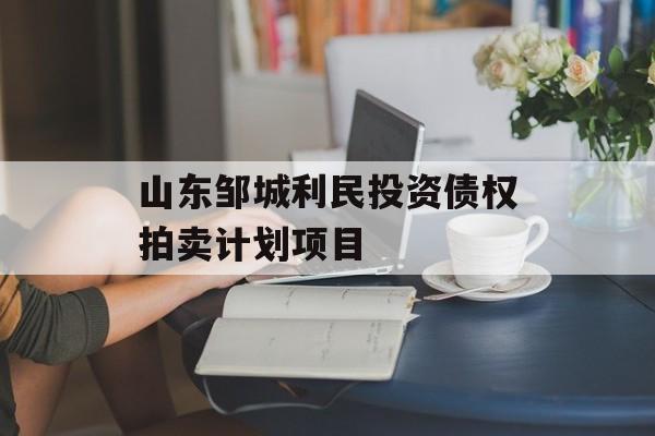 山东邹城利民投资债权拍卖计划项目
