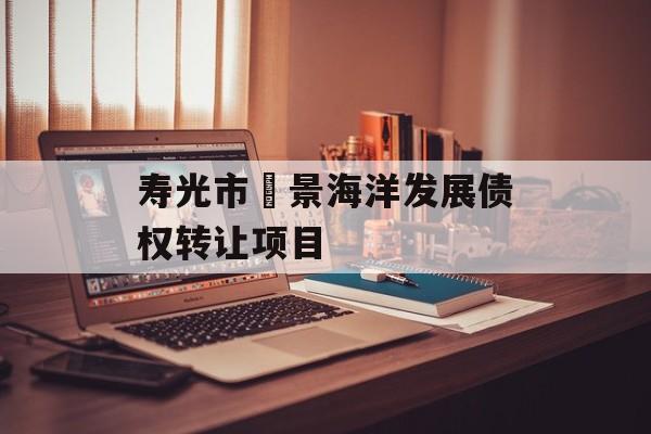 寿光市昇景海洋发展债权转让项目