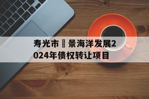 寿光市昇景海洋发展2024年债权转让项目