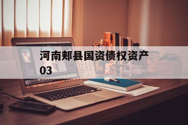 河南郏县国资债权资产03