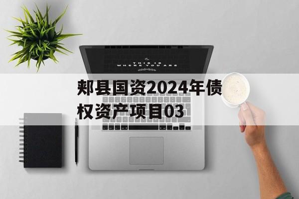 郏县国资2024年债权资产项目03