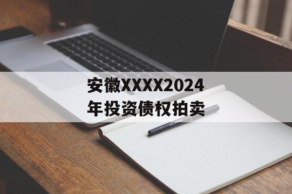 安徽XXXX2024年投资债权拍卖