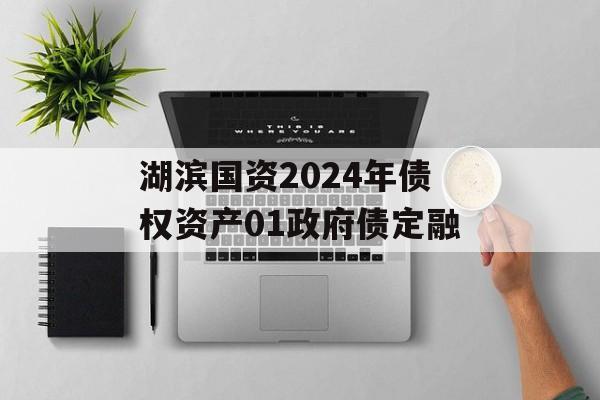 湖滨国资2024年债权资产01政府债定融