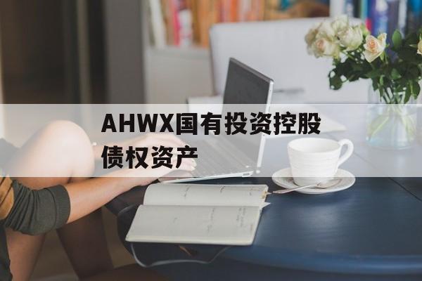 AHWX国有投资控股债权资产